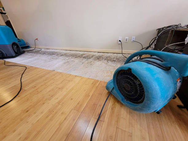 Professional Water Extraction technician working in Templeton, MA